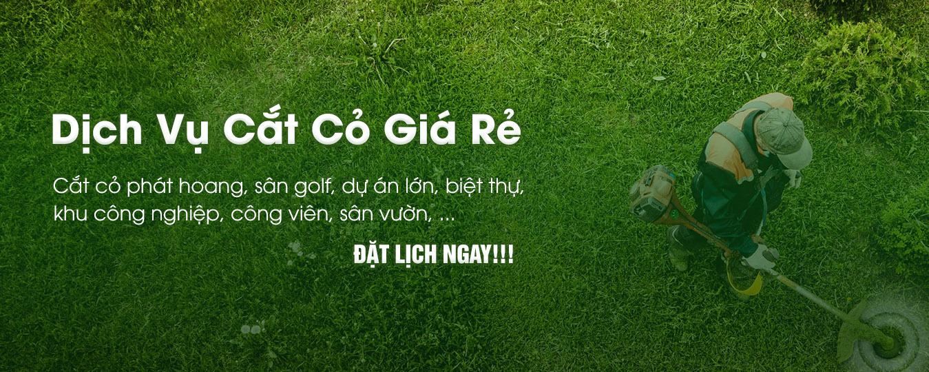 Dịch vụ cắt cỏ