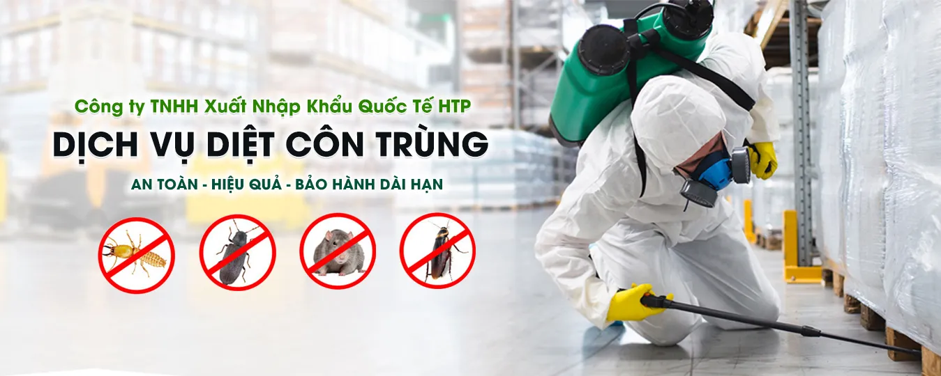 Dịch vụ diệt côn trùng tại nhà